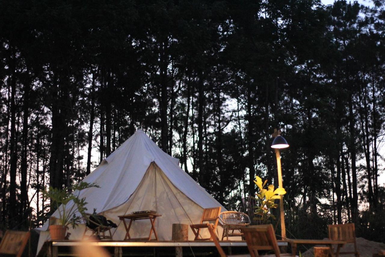 Sjugare Gard Bed & Breakfast レクサンド エクステリア 写真