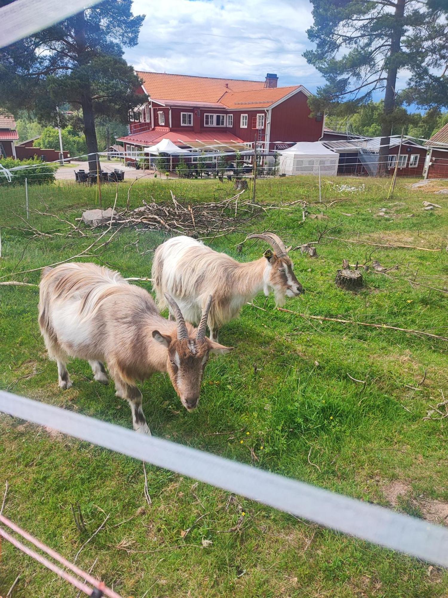 Sjugare Gard Bed & Breakfast レクサンド エクステリア 写真